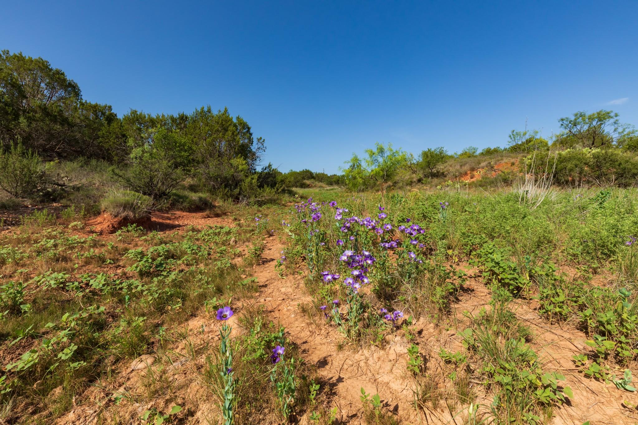 main property photo 21