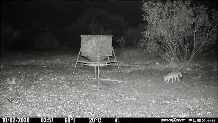 main property photo 14