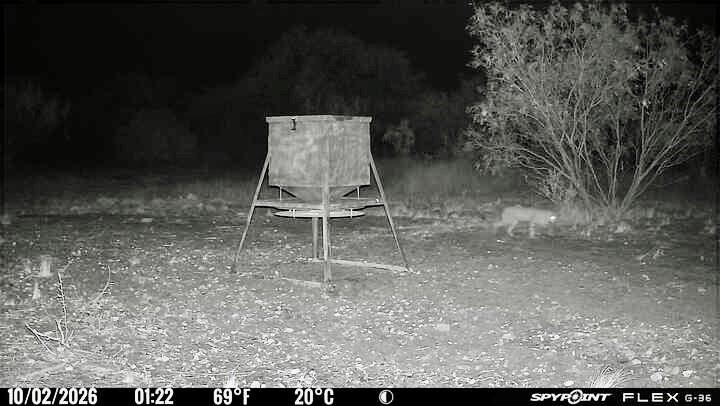 main property photo 15