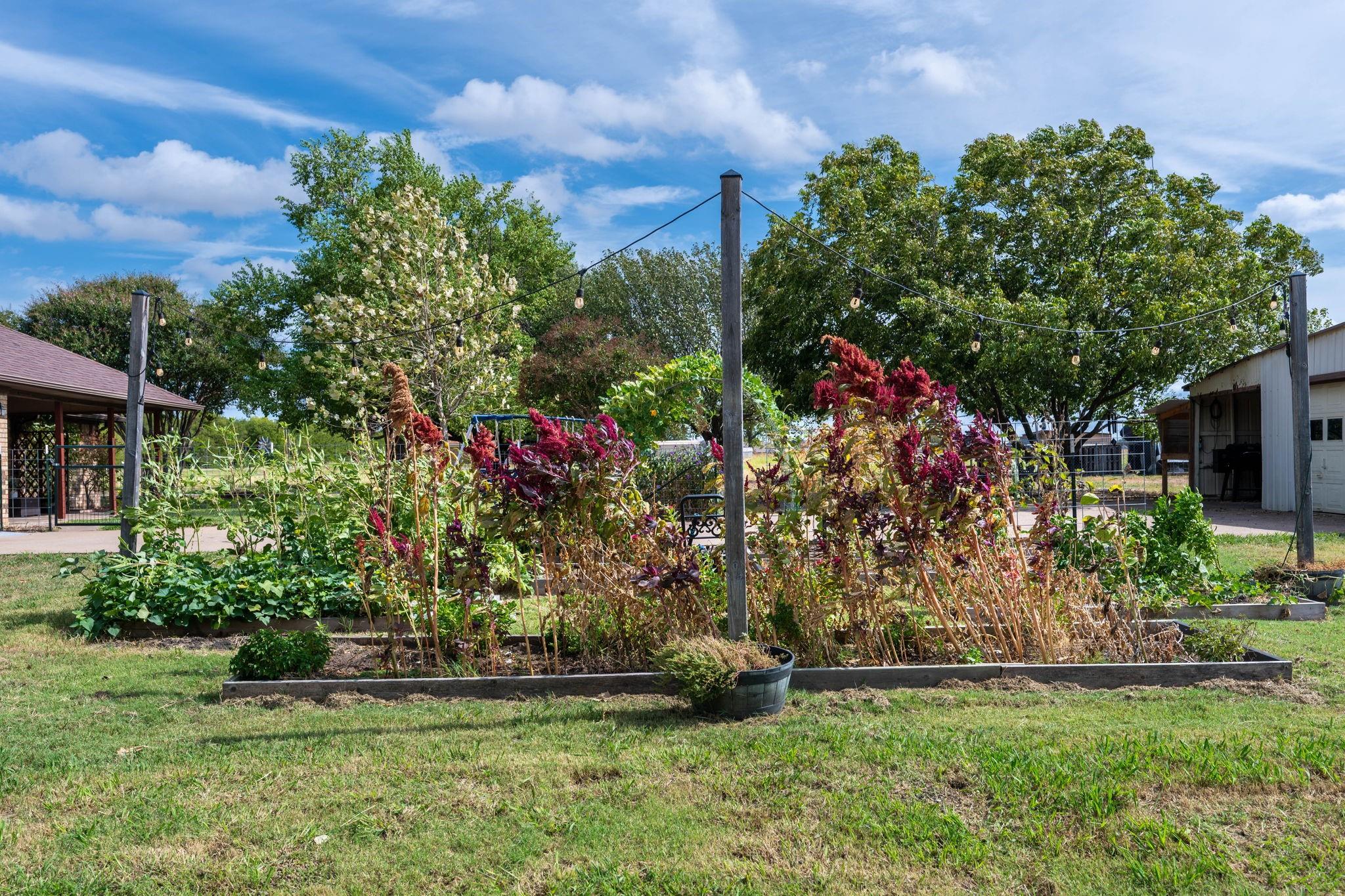 main property photo 35