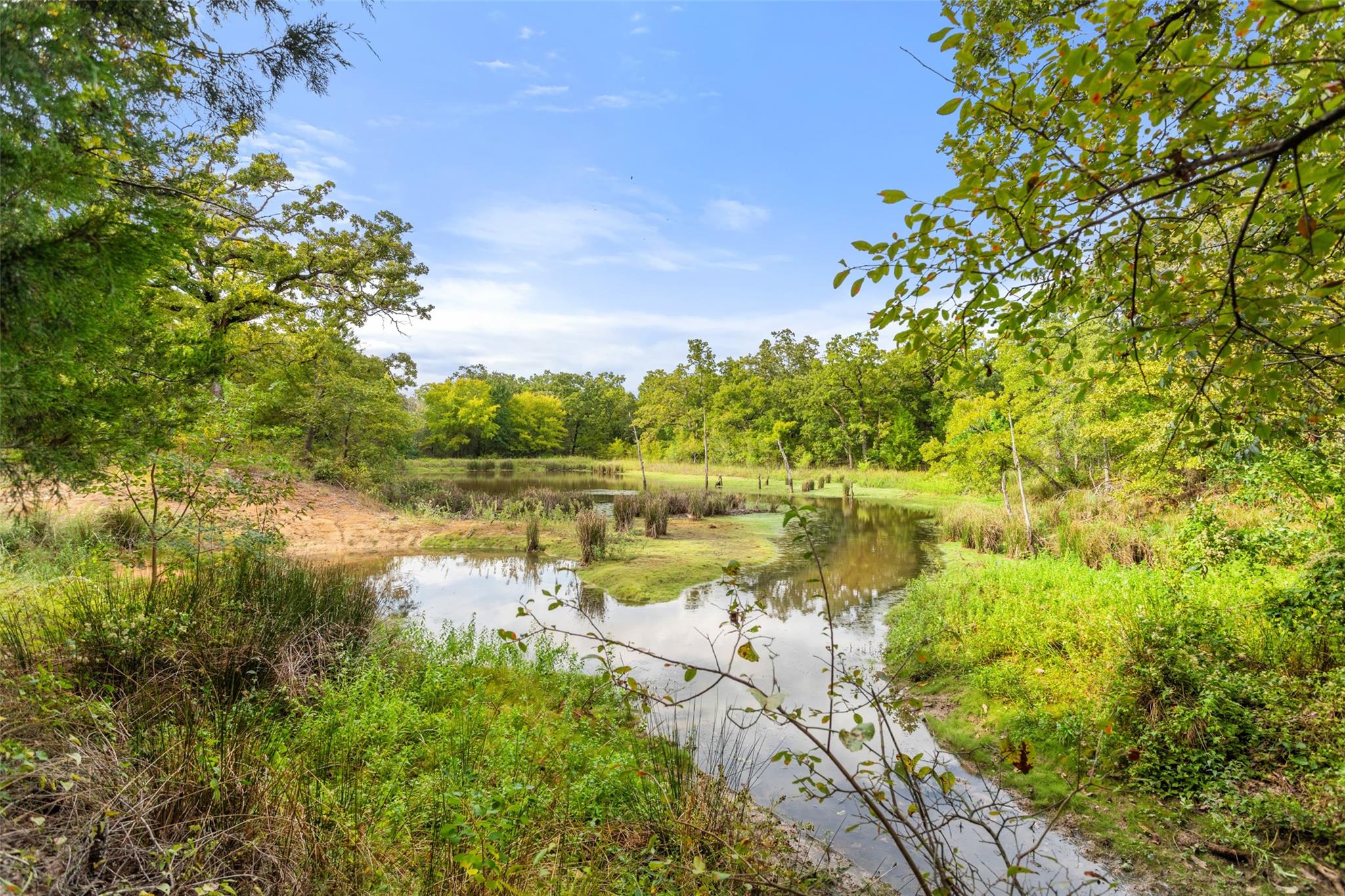 main property photo 35