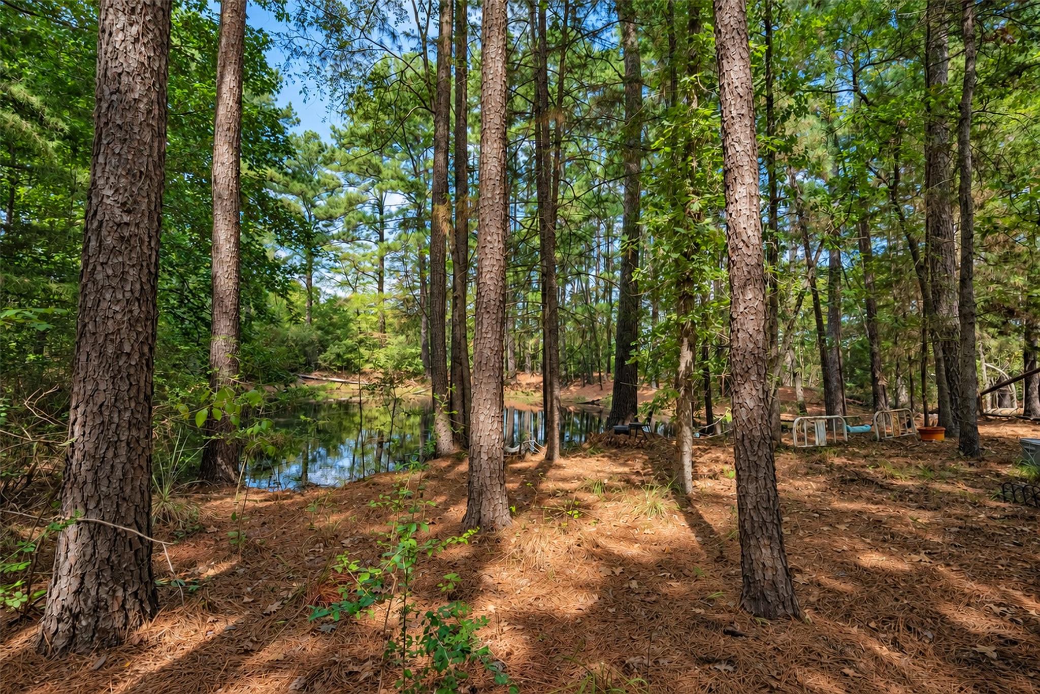 main property photo 36