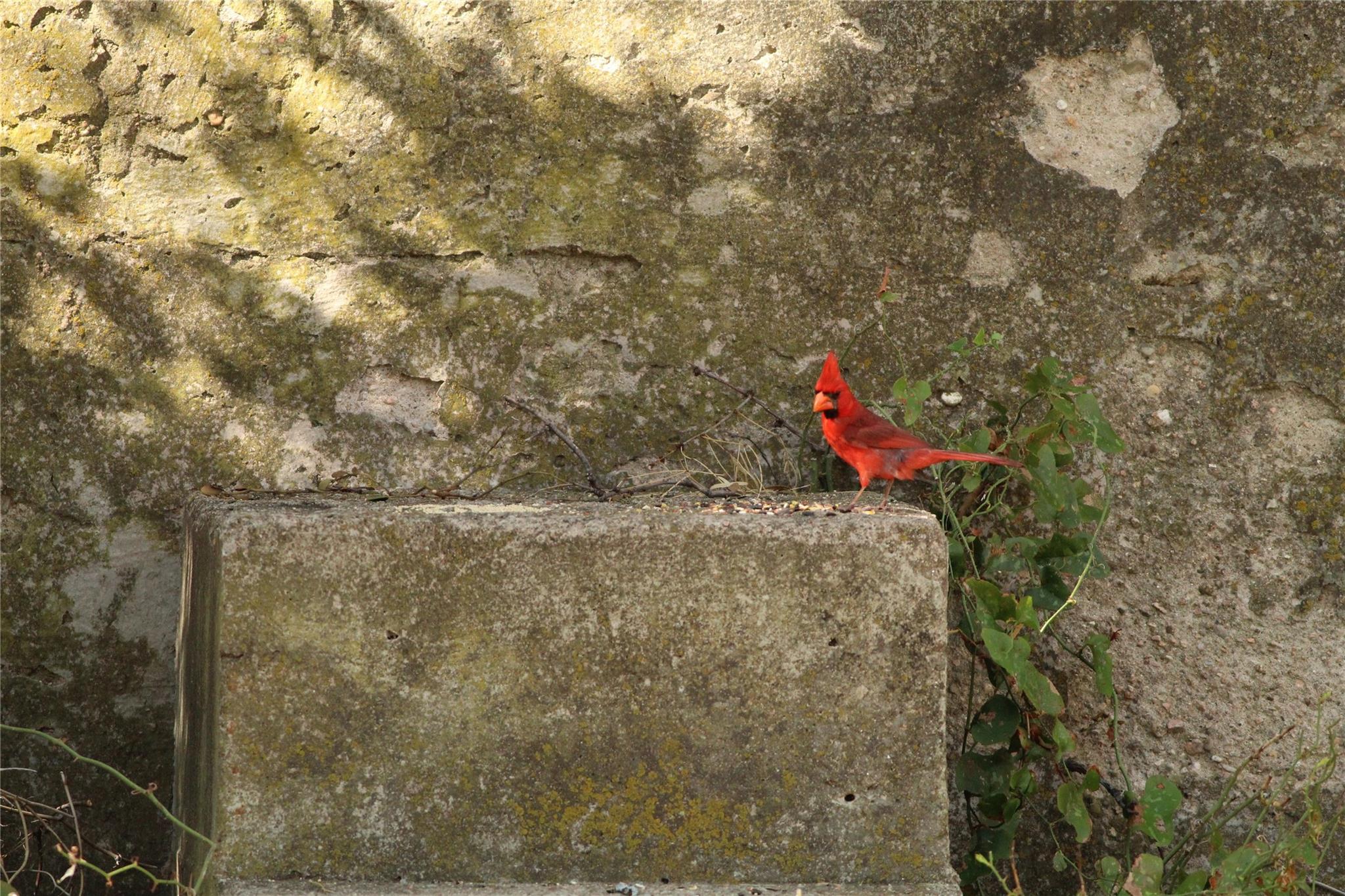main property photo 17