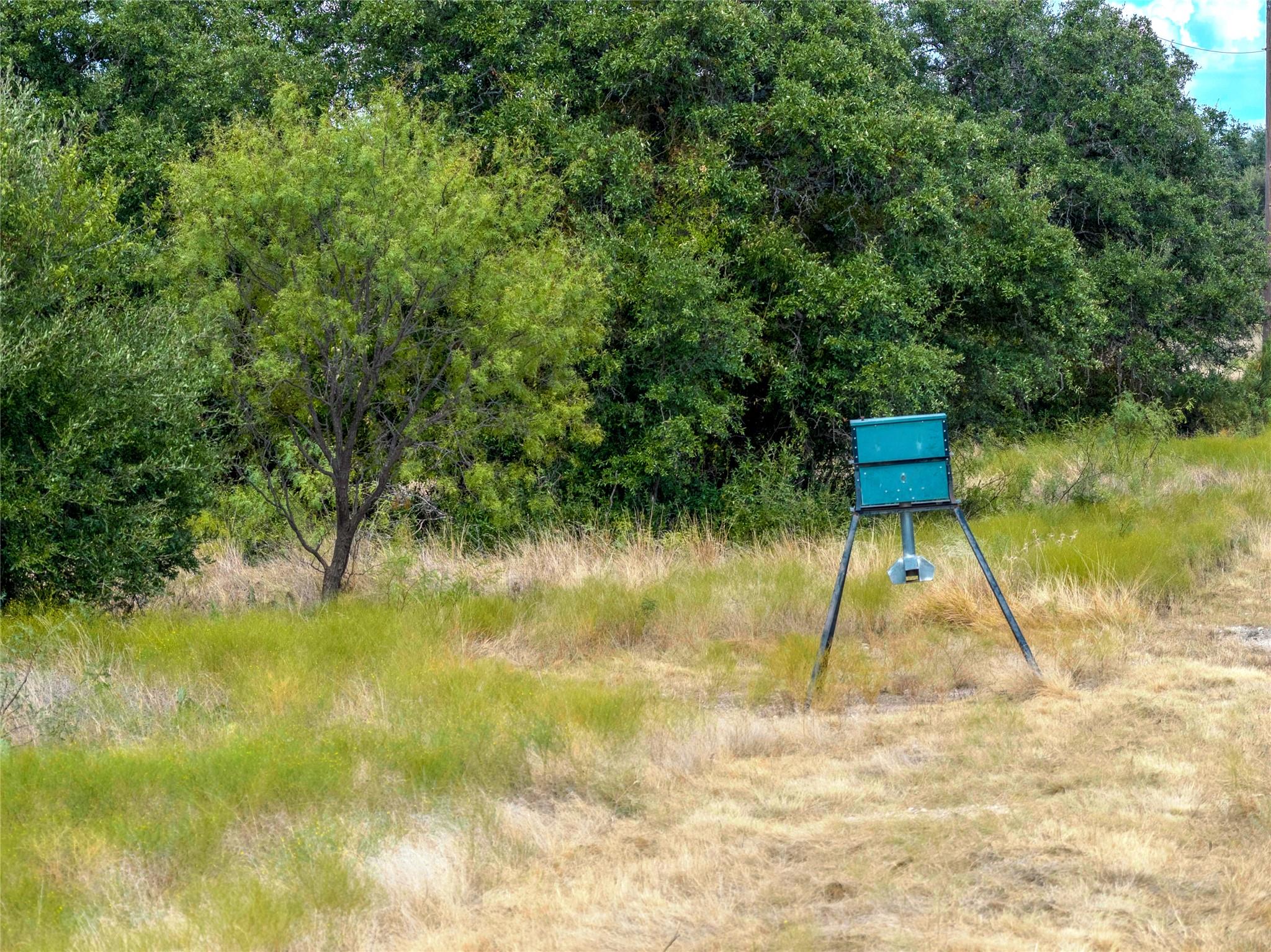 main property photo 6