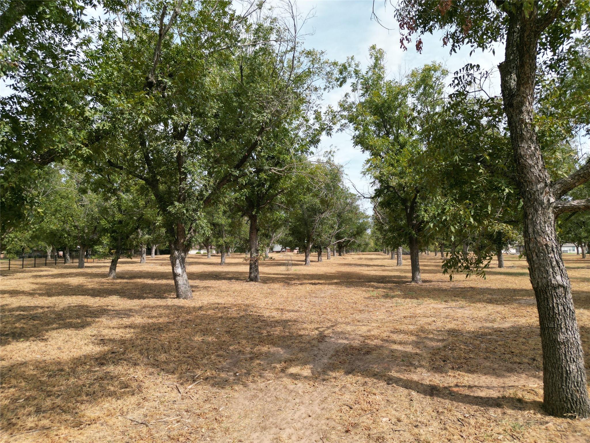 main property photo 6