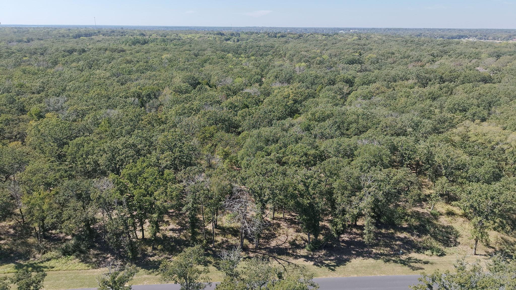 main property photo 11