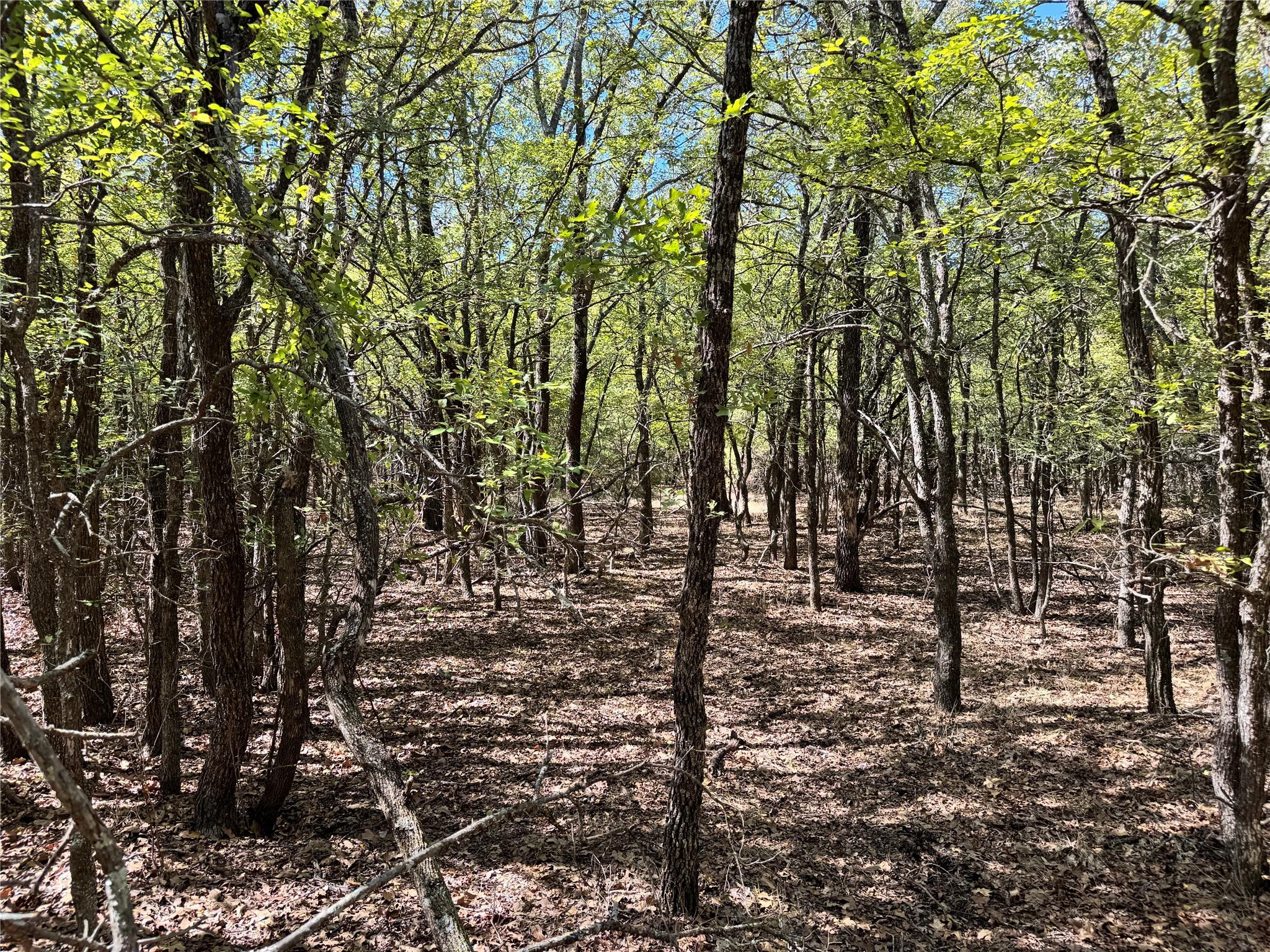 main property photo 16