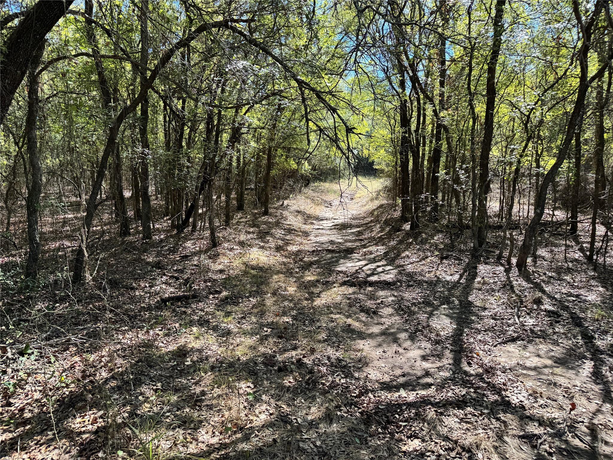 main property photo 20