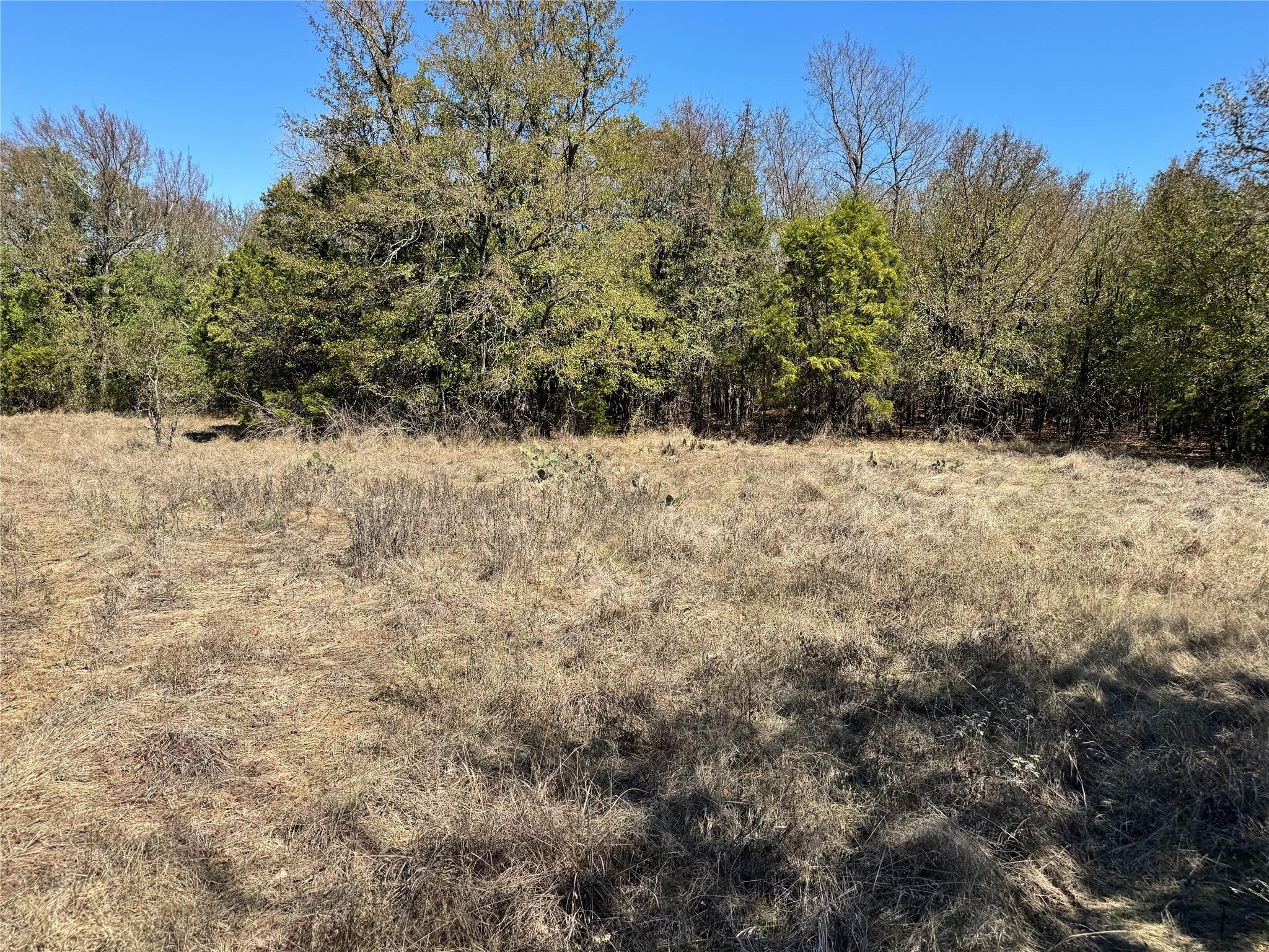 main property photo 26
