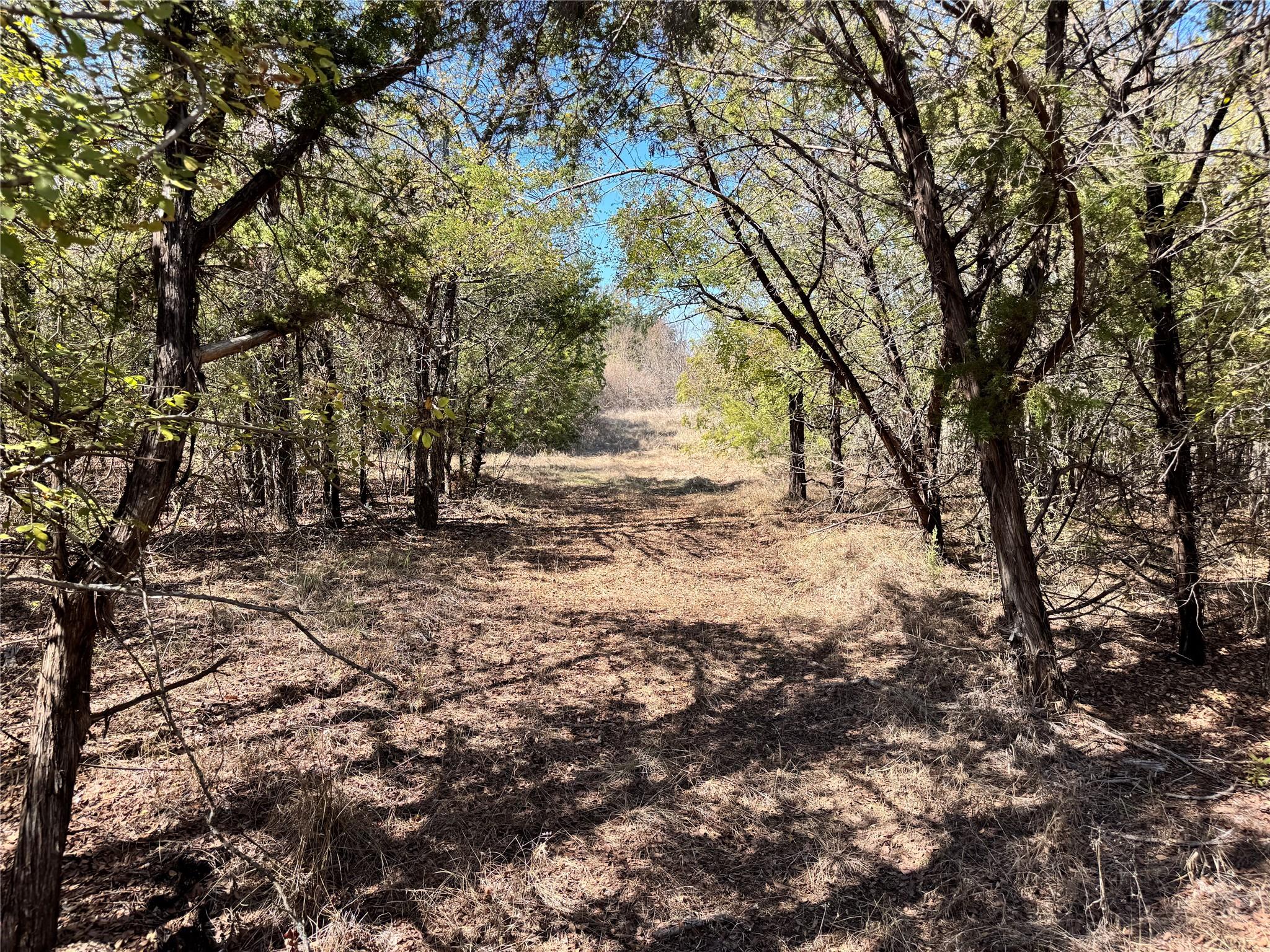 main property photo 28