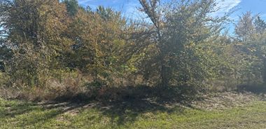 image of property with 0 Bed | 0 Bath | 0 Sqft
