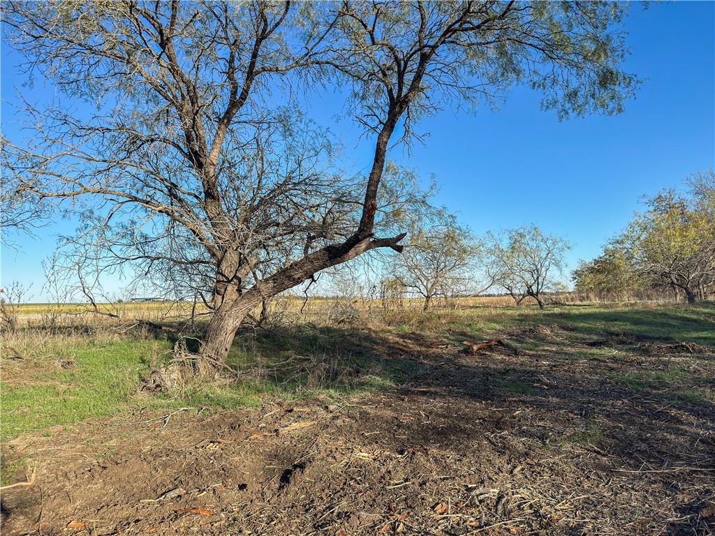 main property photo 28