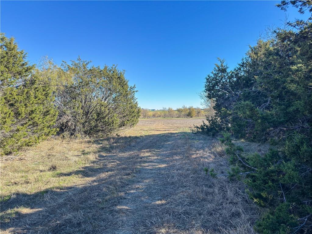 main property photo 39