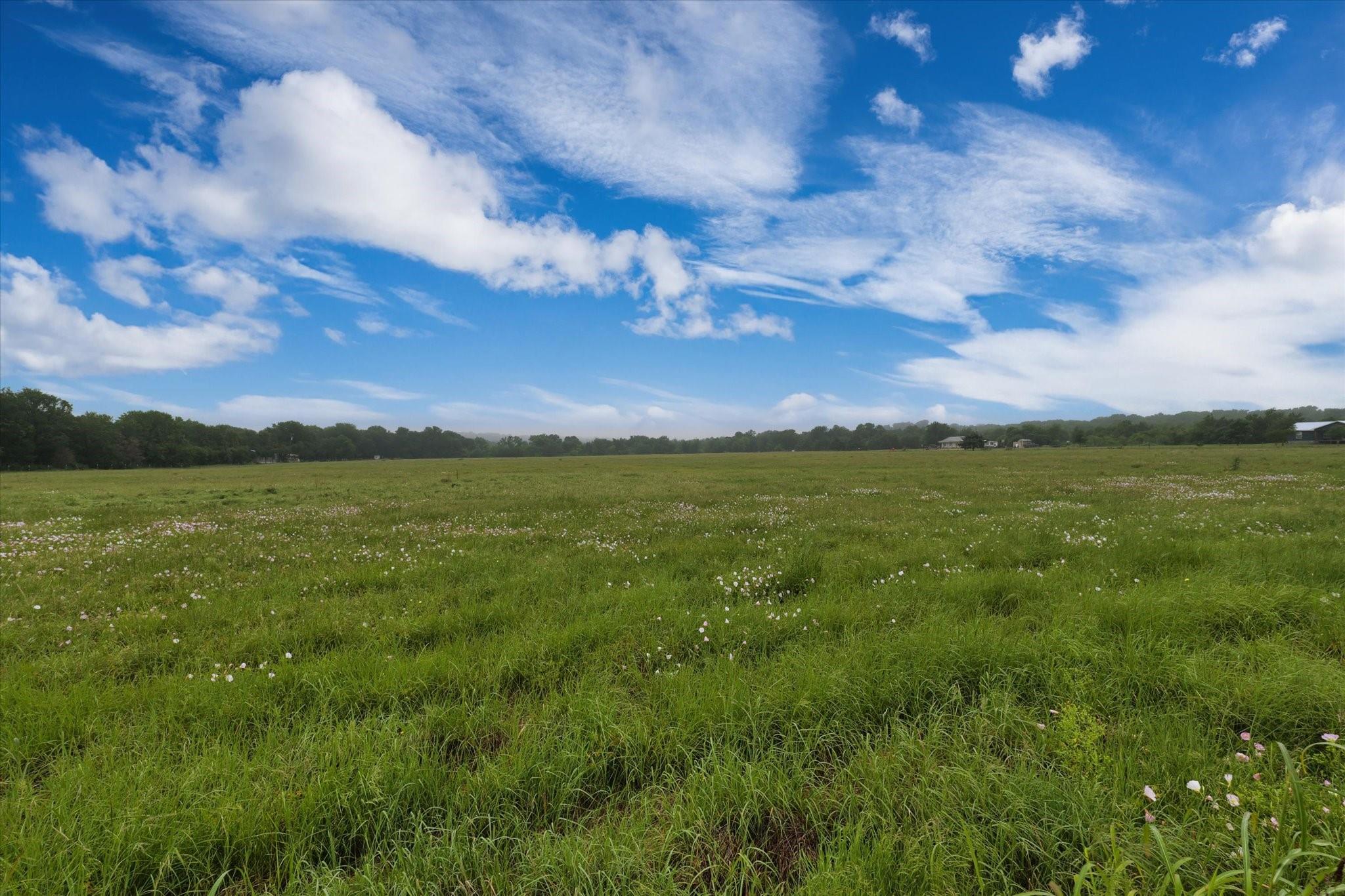 property viewer photo 14