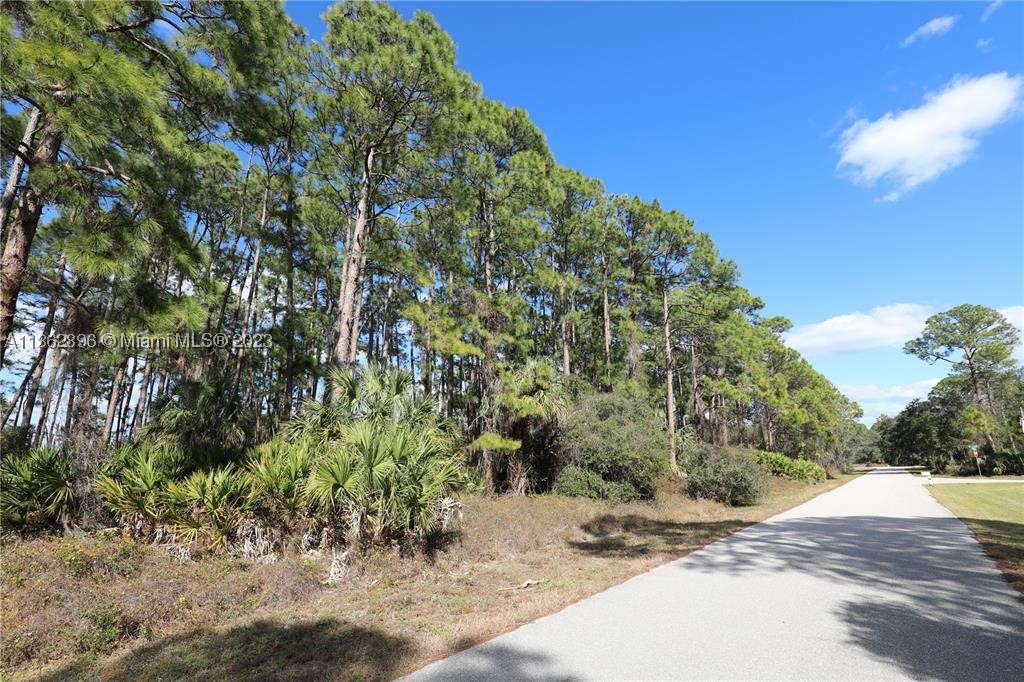 main property photo 10