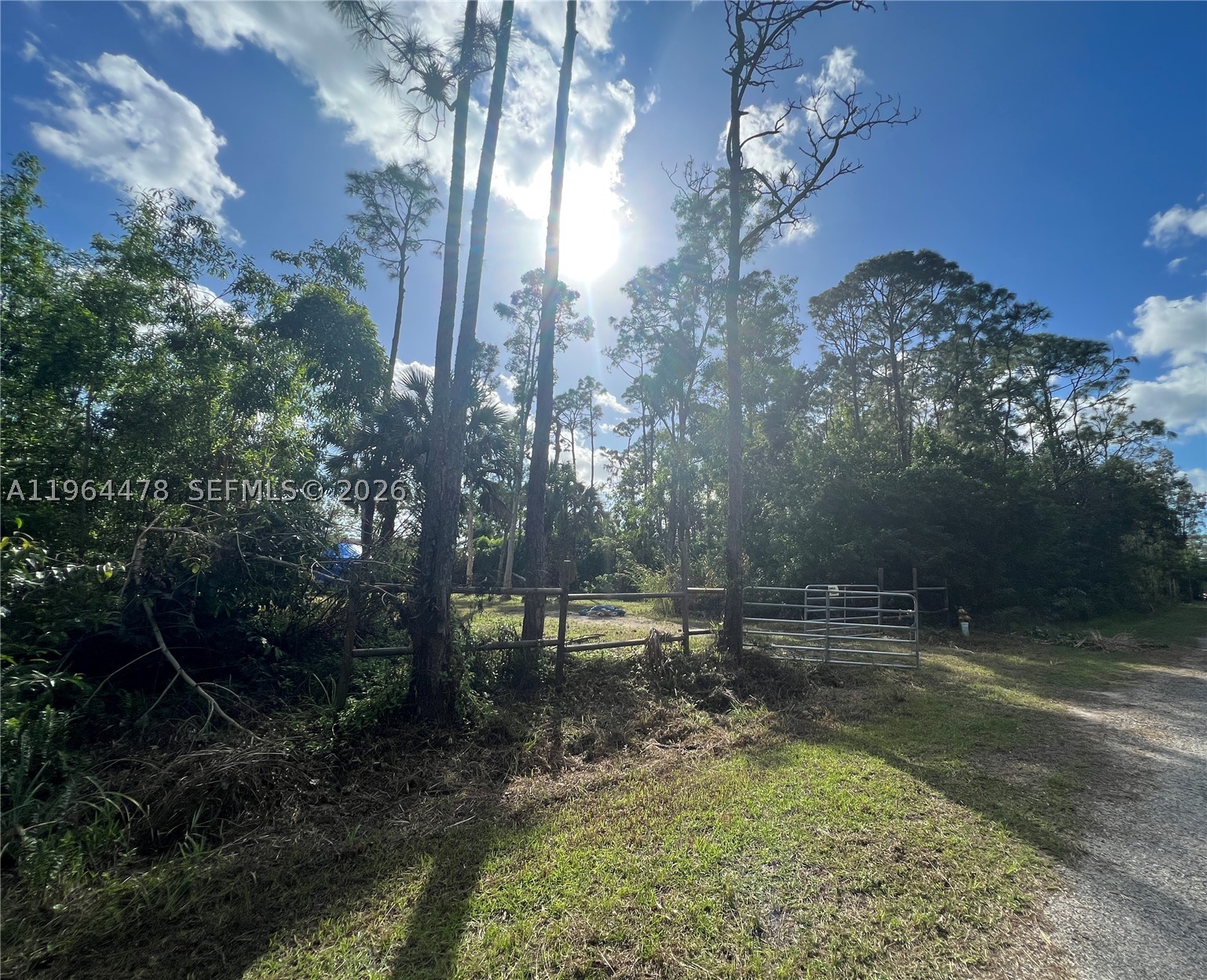 main property photo 4
