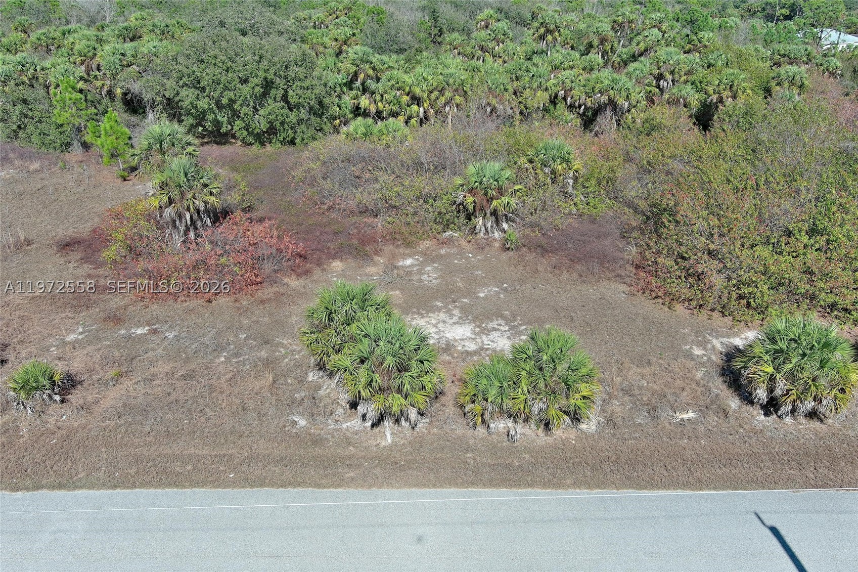 main property photo 14