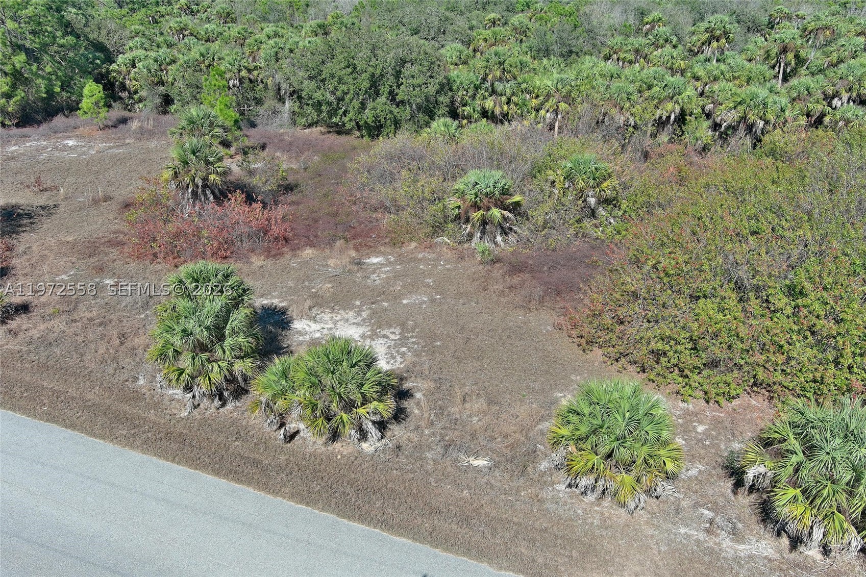 main property photo 15