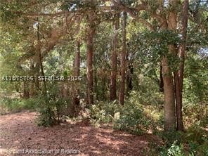 main property photo 26