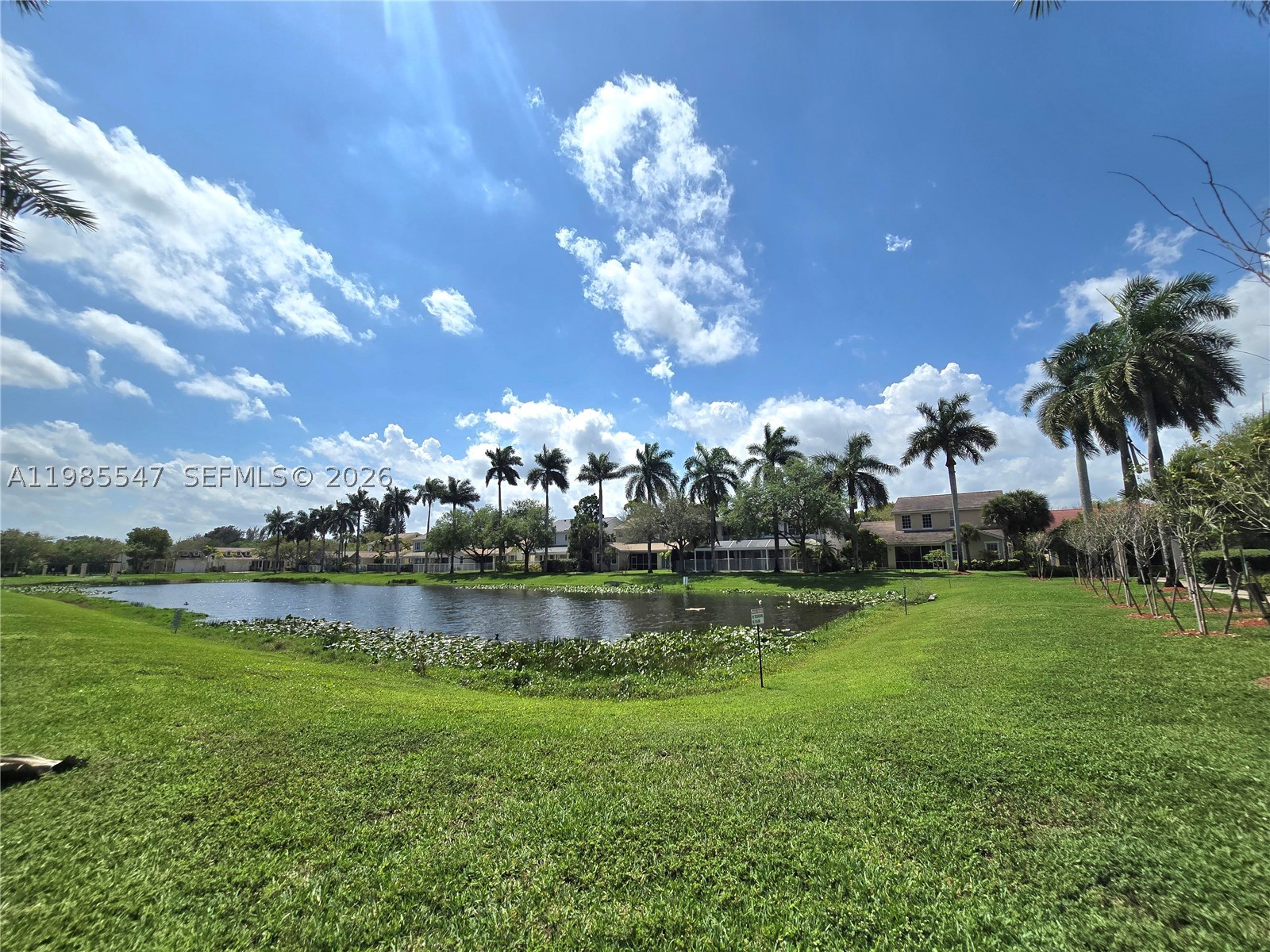 main property photo 62