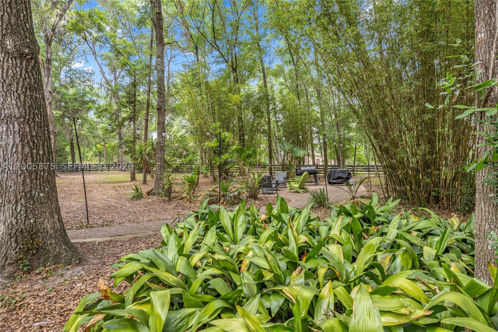 main property photo 49