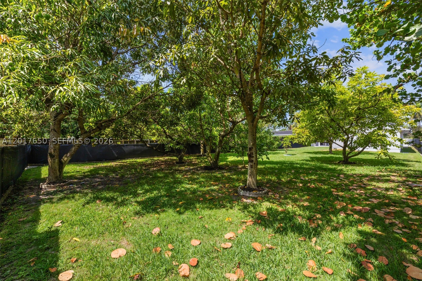 main property photo 55