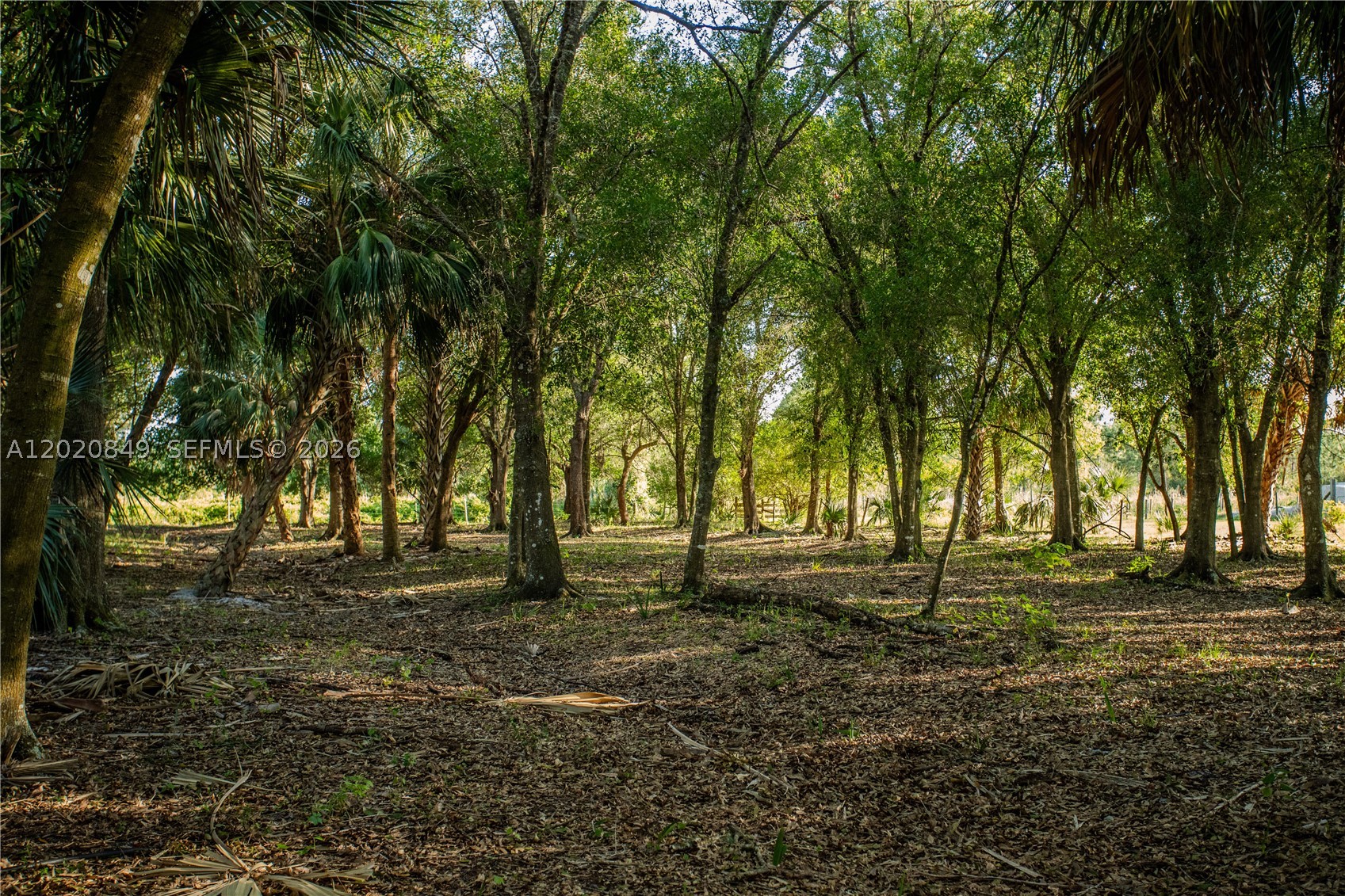 main property photo 35