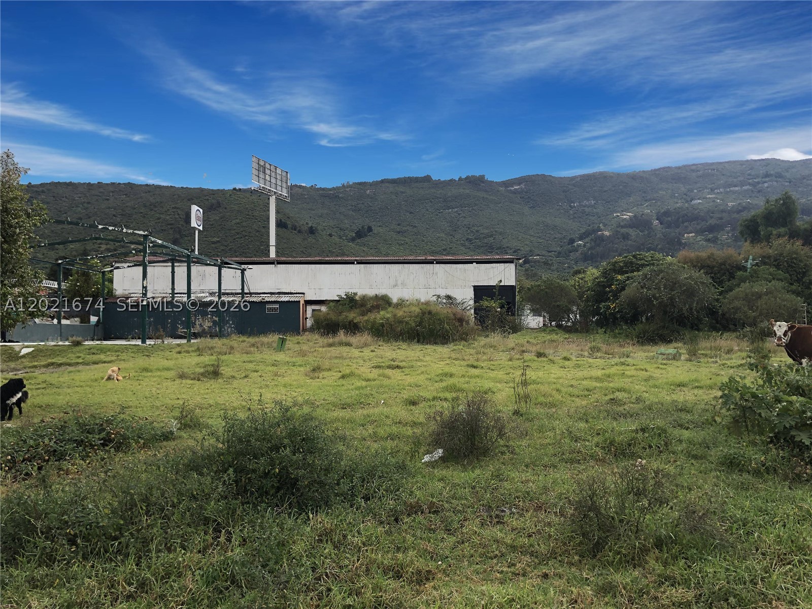 main property photo 4