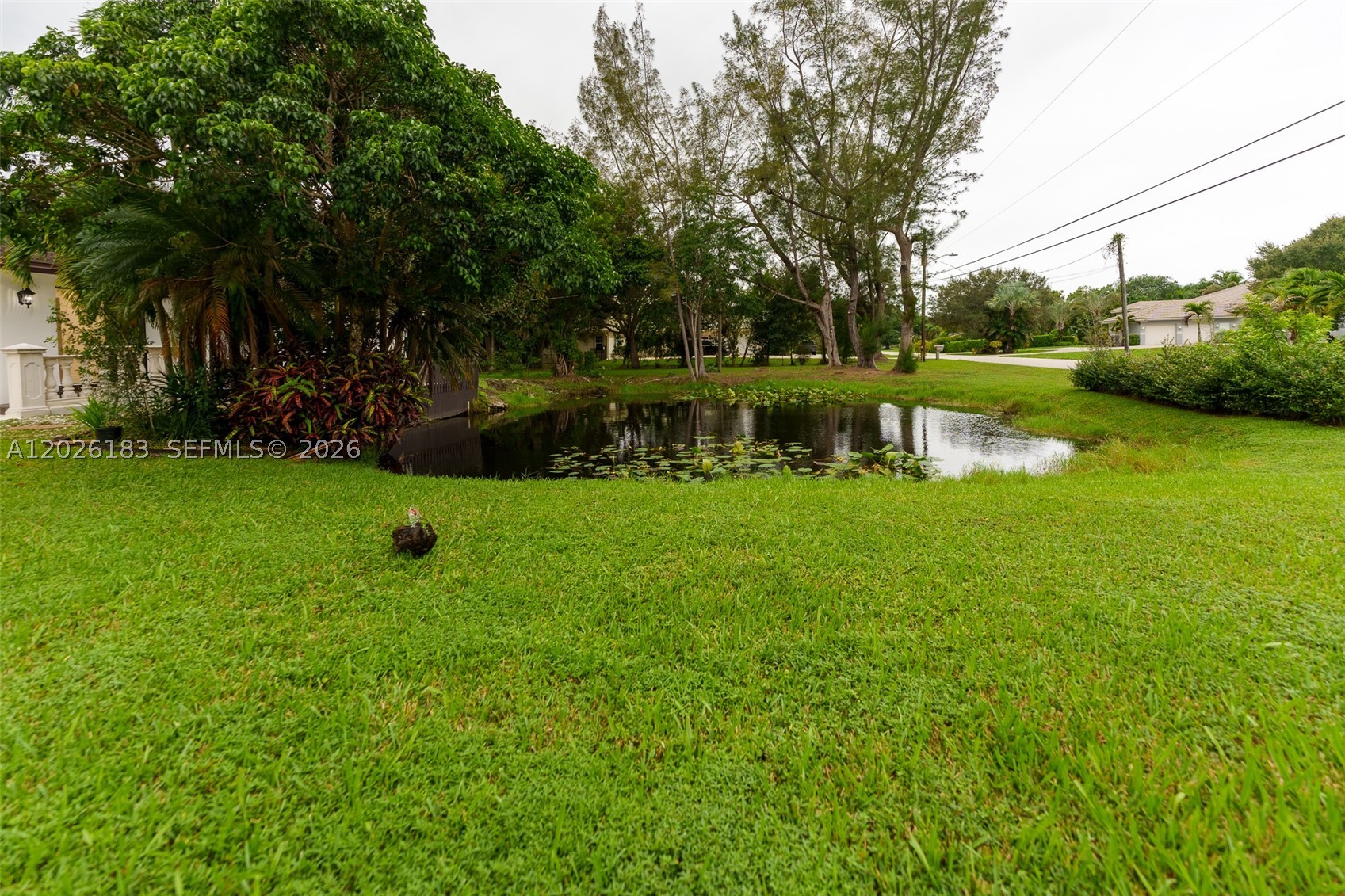 main property photo 42