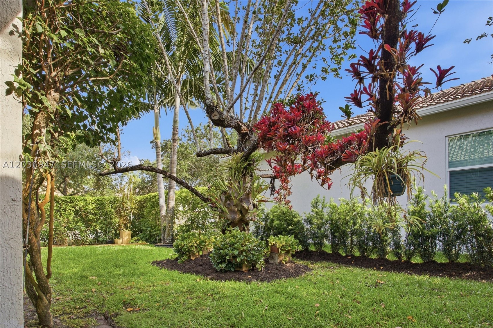 main property photo 56