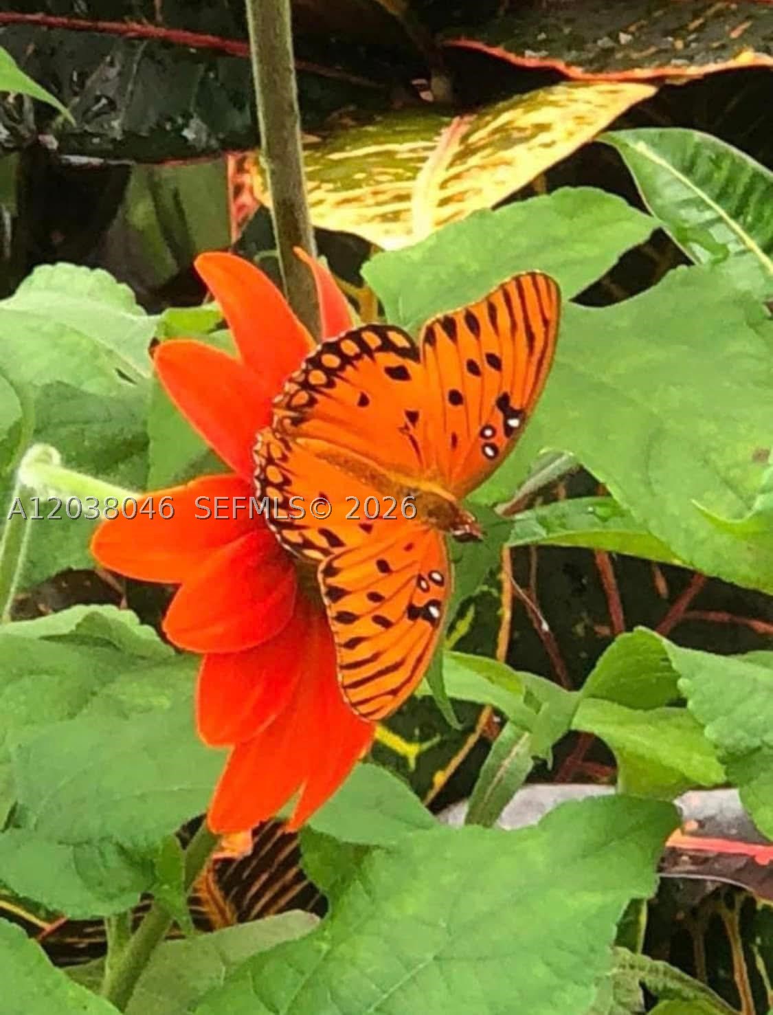 main property photo 56