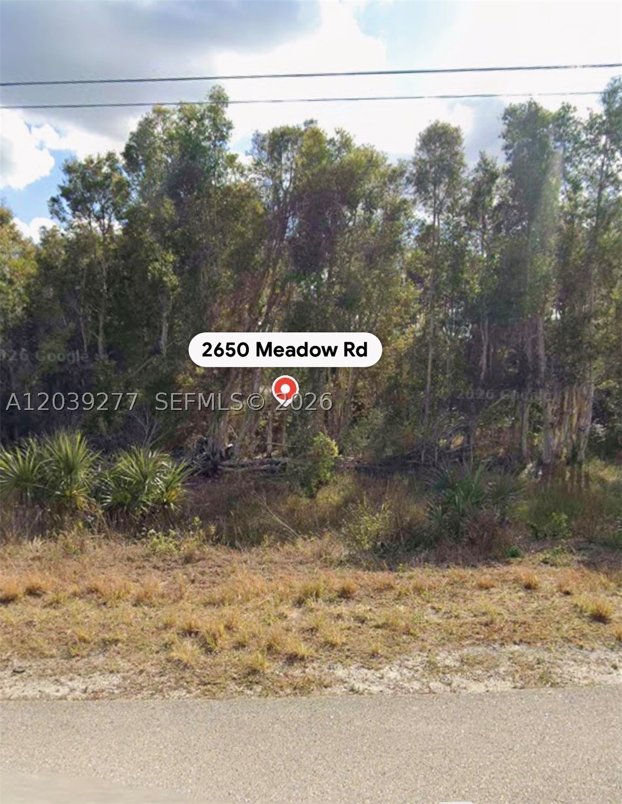main property photo 1