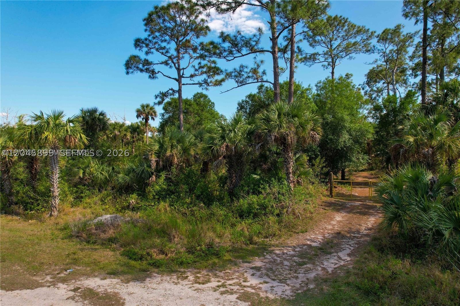 main property photo 6
