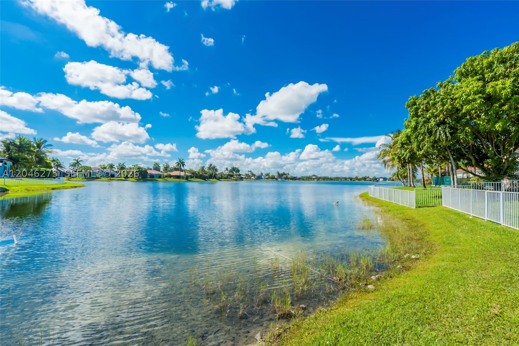 main property photo 54