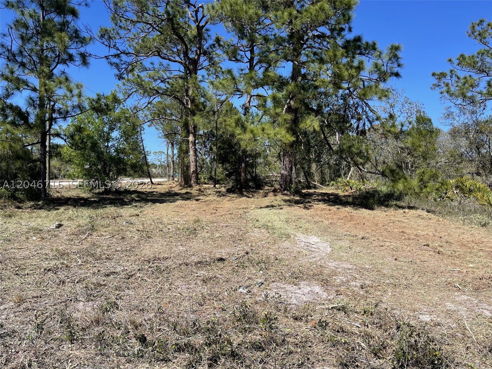 main property photo 6