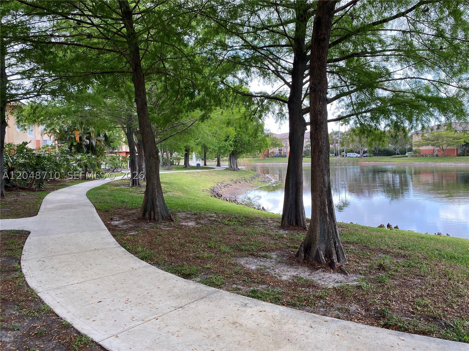 main property photo 56