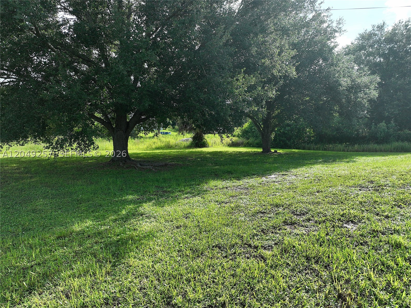 main property photo 46