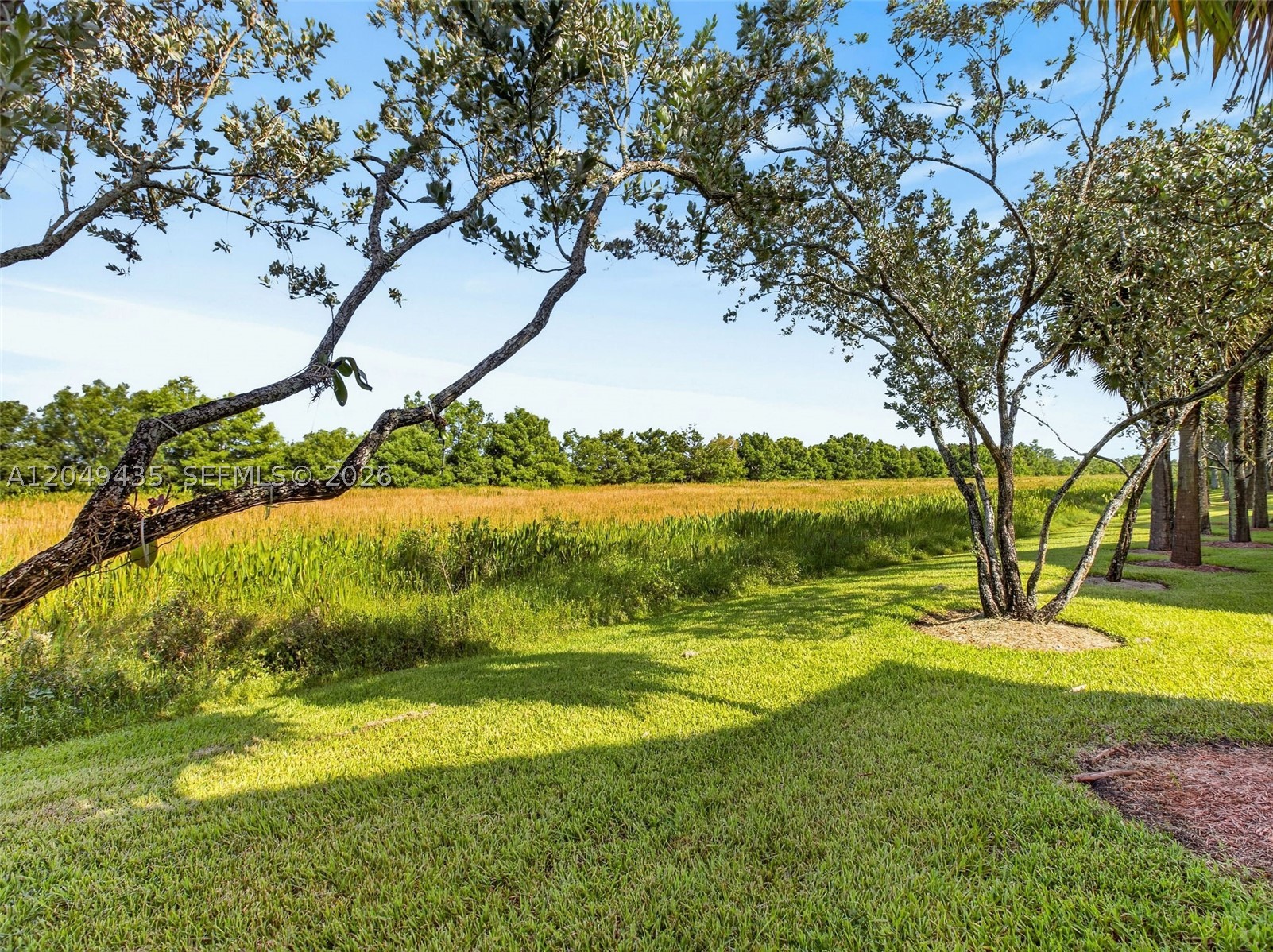 main property photo 70