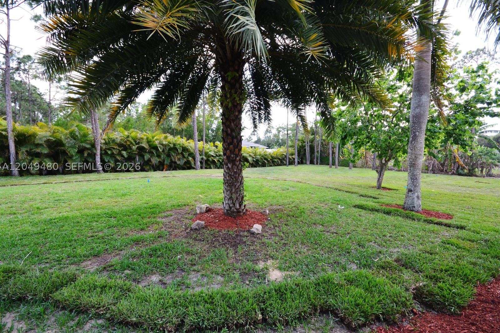 main property photo 25