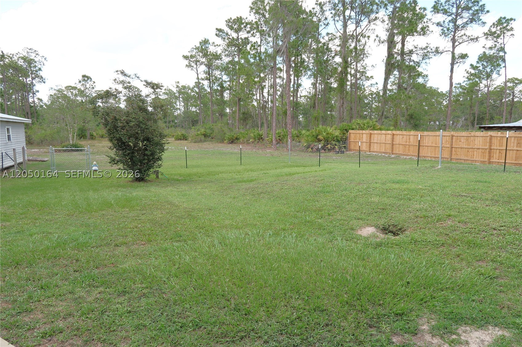 main property photo 57
