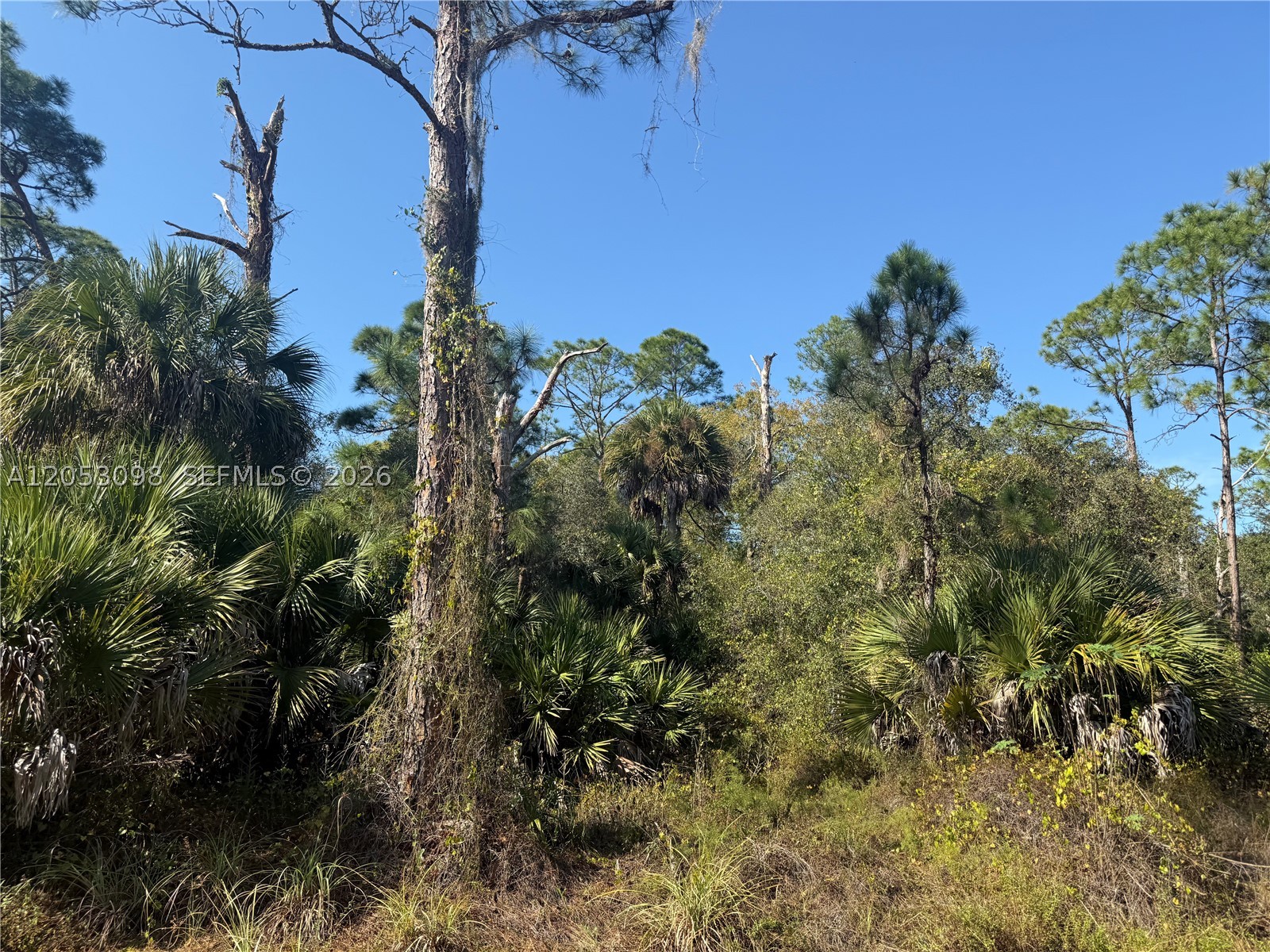 main property photo 4