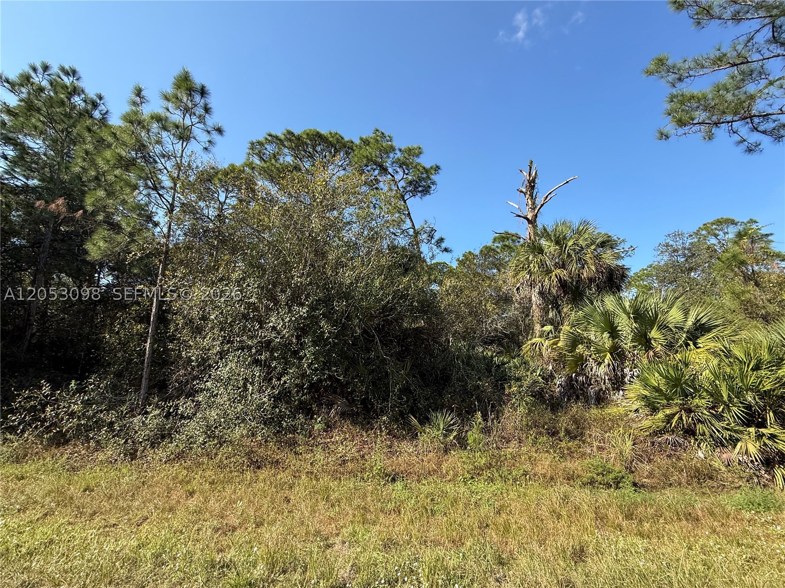 main property photo 6