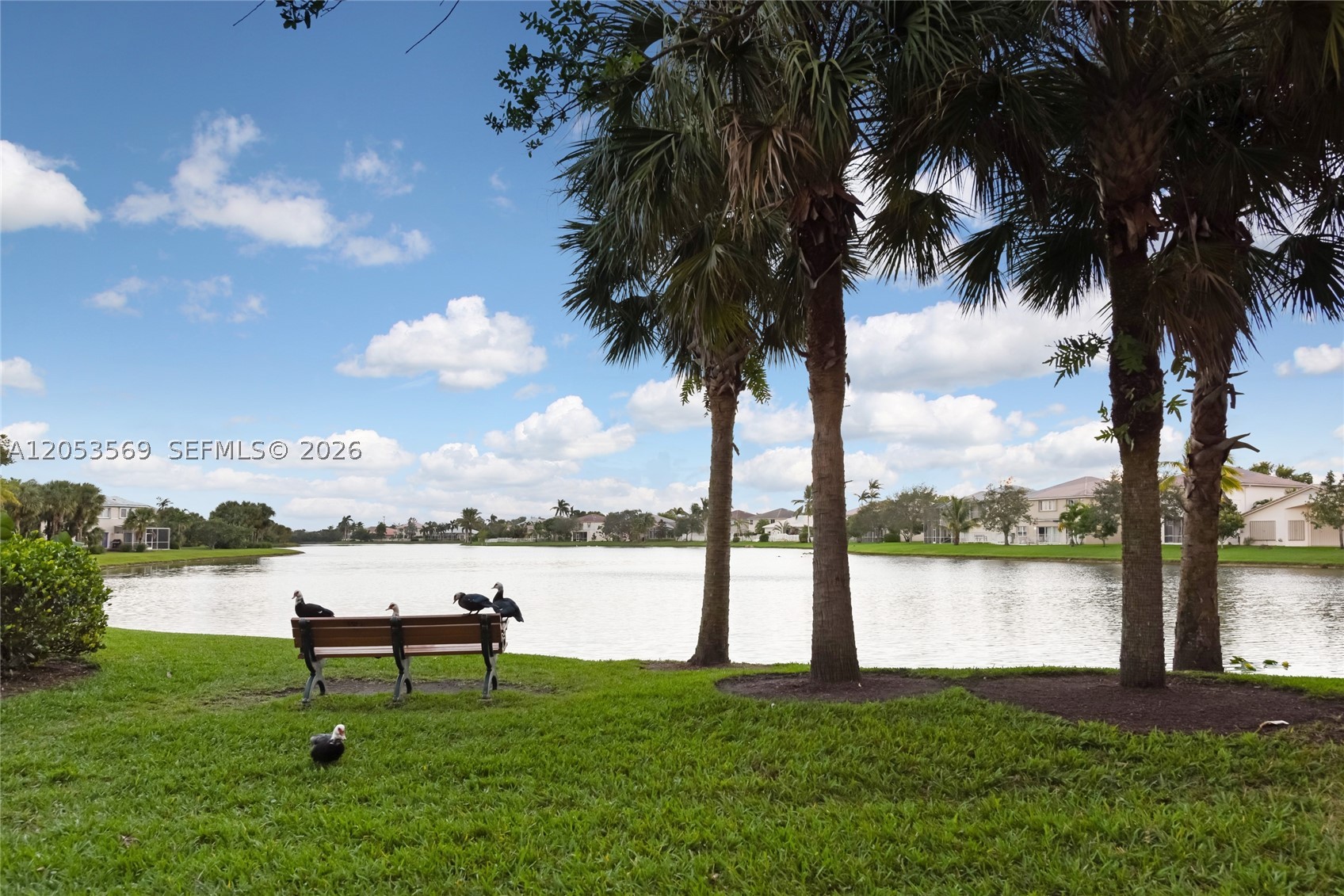 main property photo 54