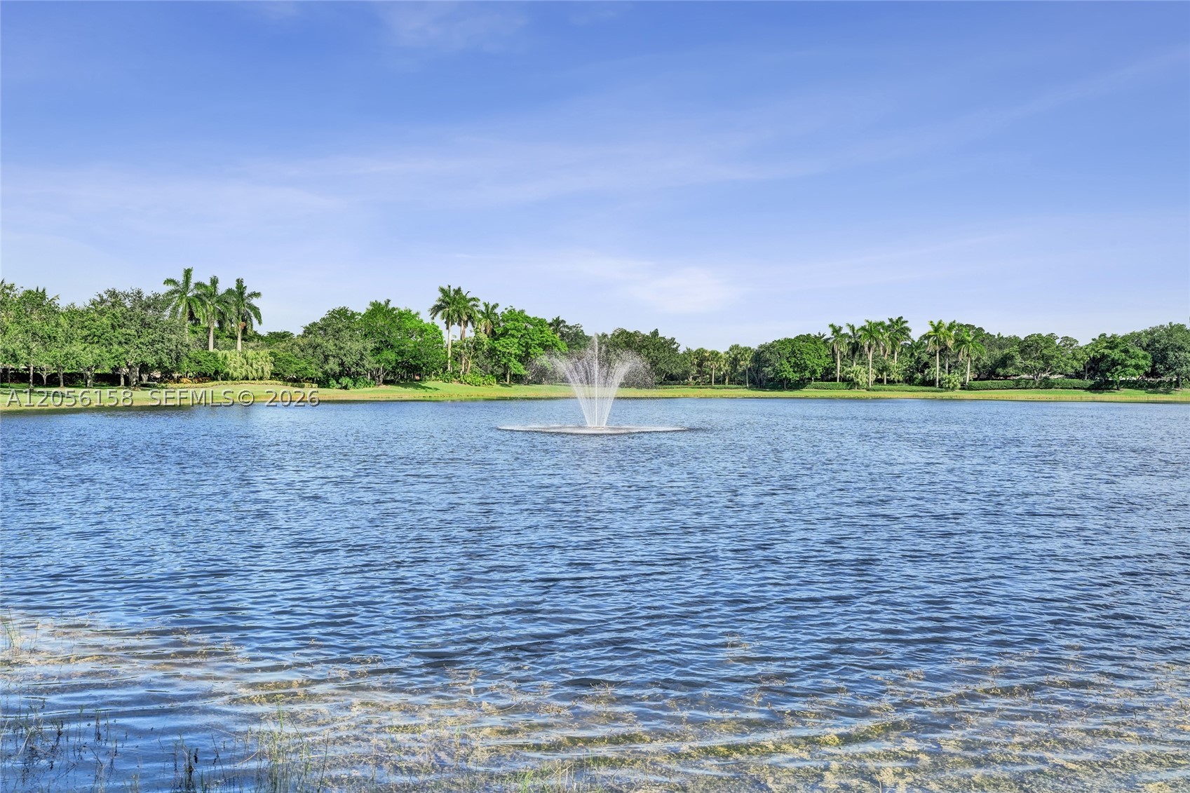 main property photo 99