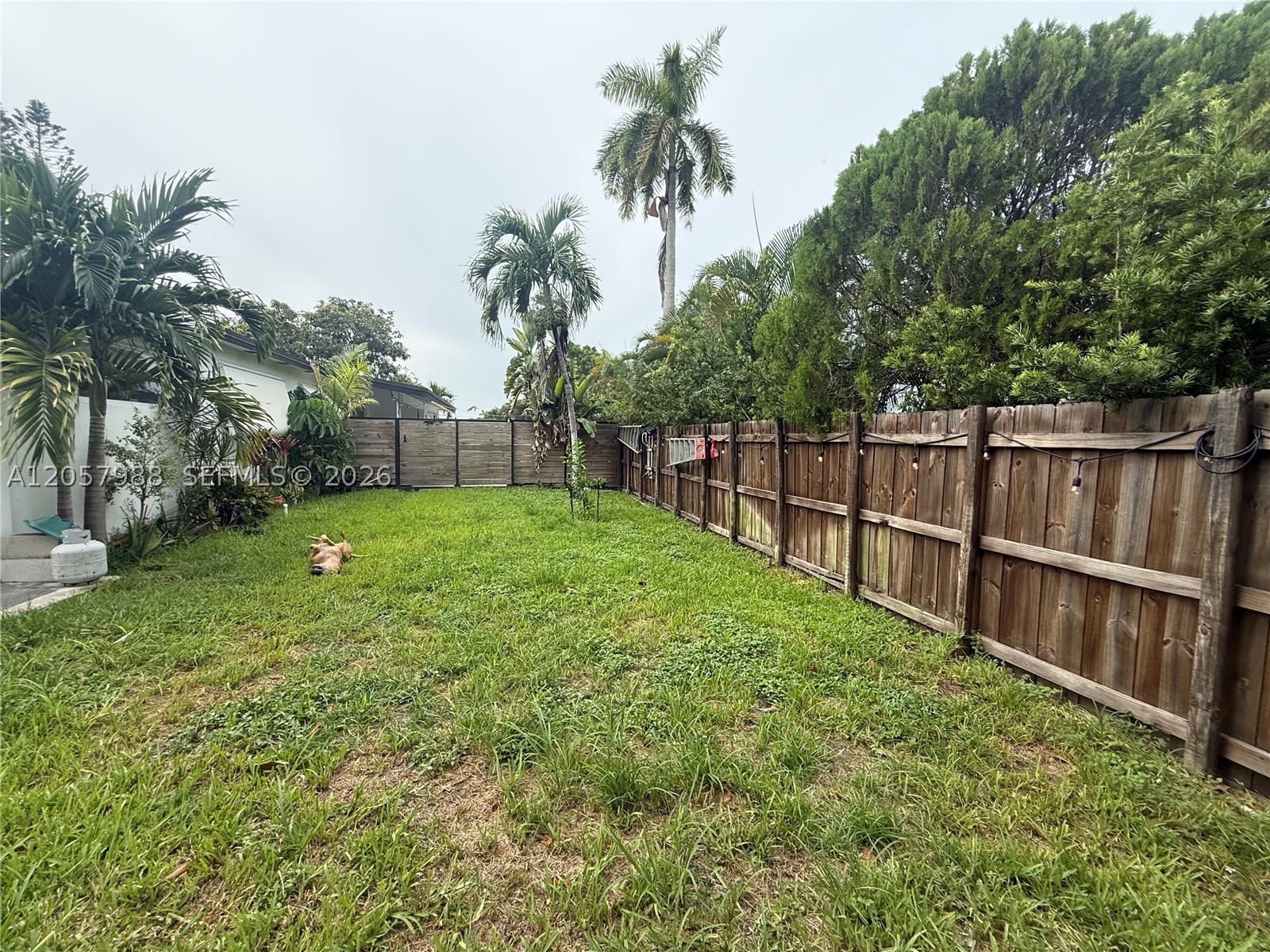 main property photo 57
