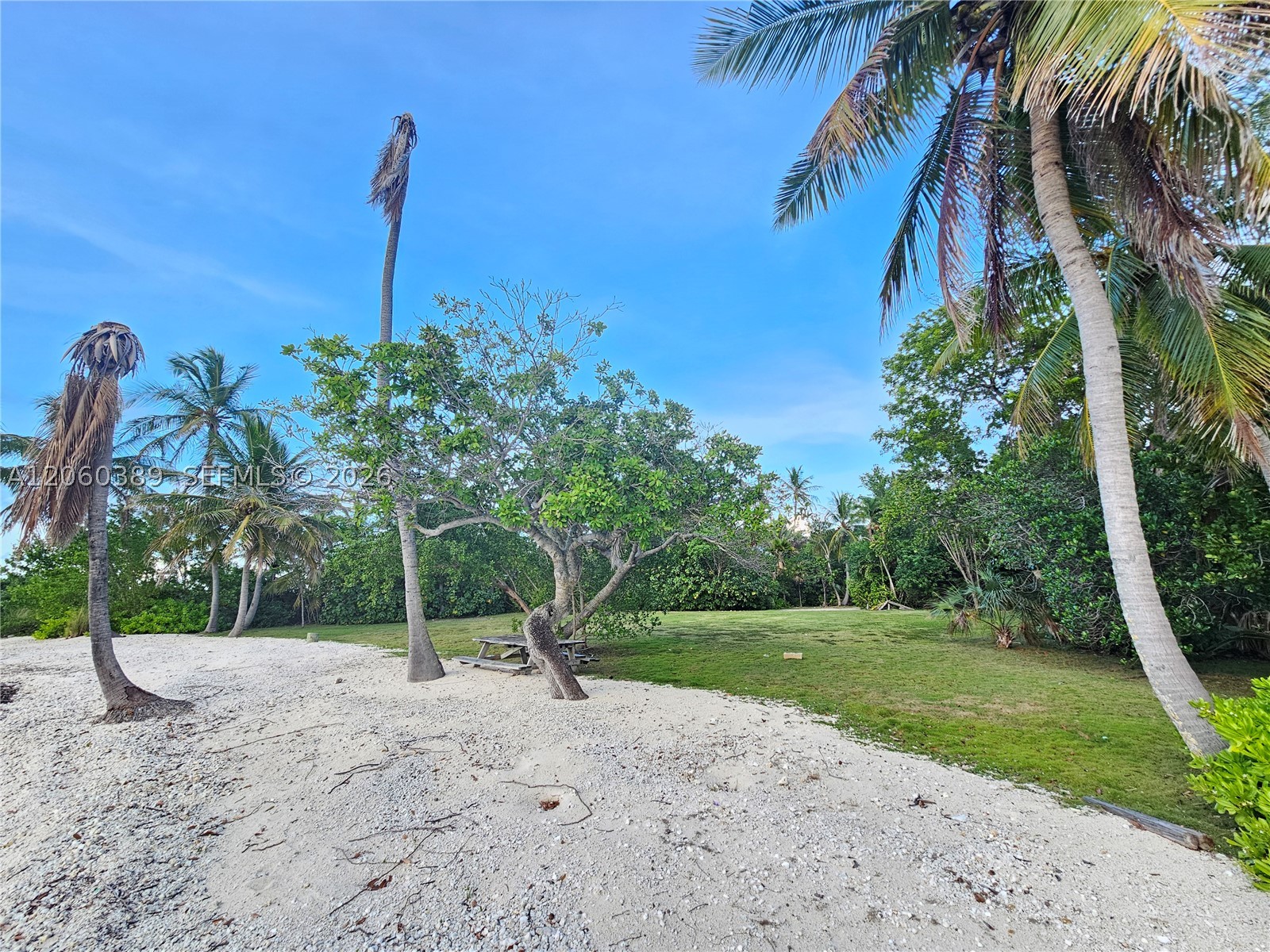 main property photo 44