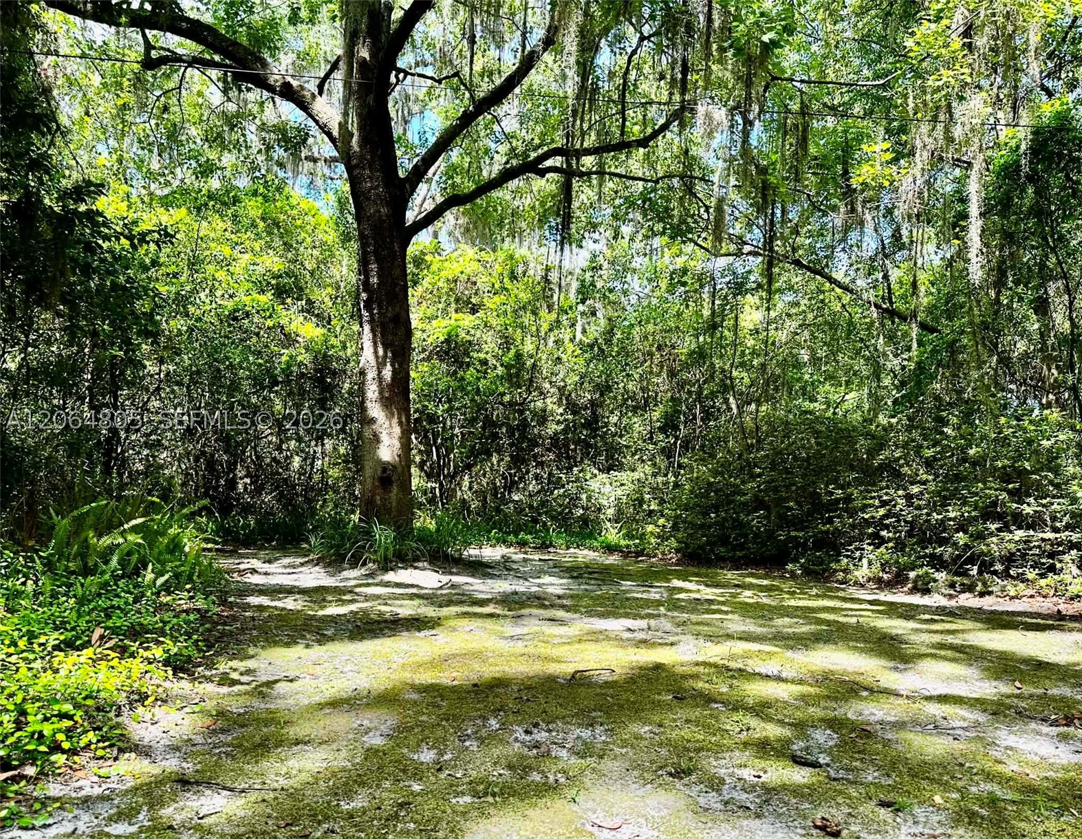main property photo 39