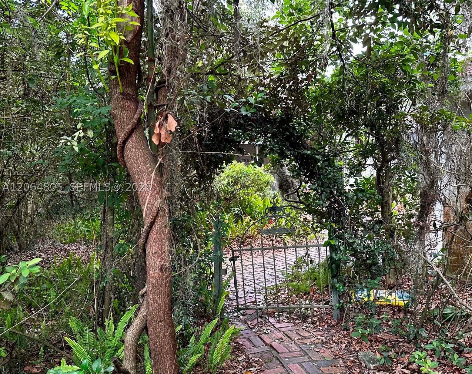 main property photo 41