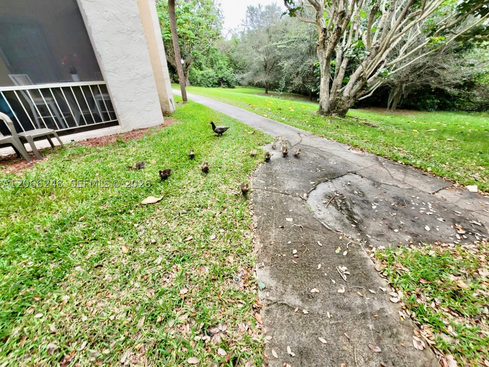 main property photo 27