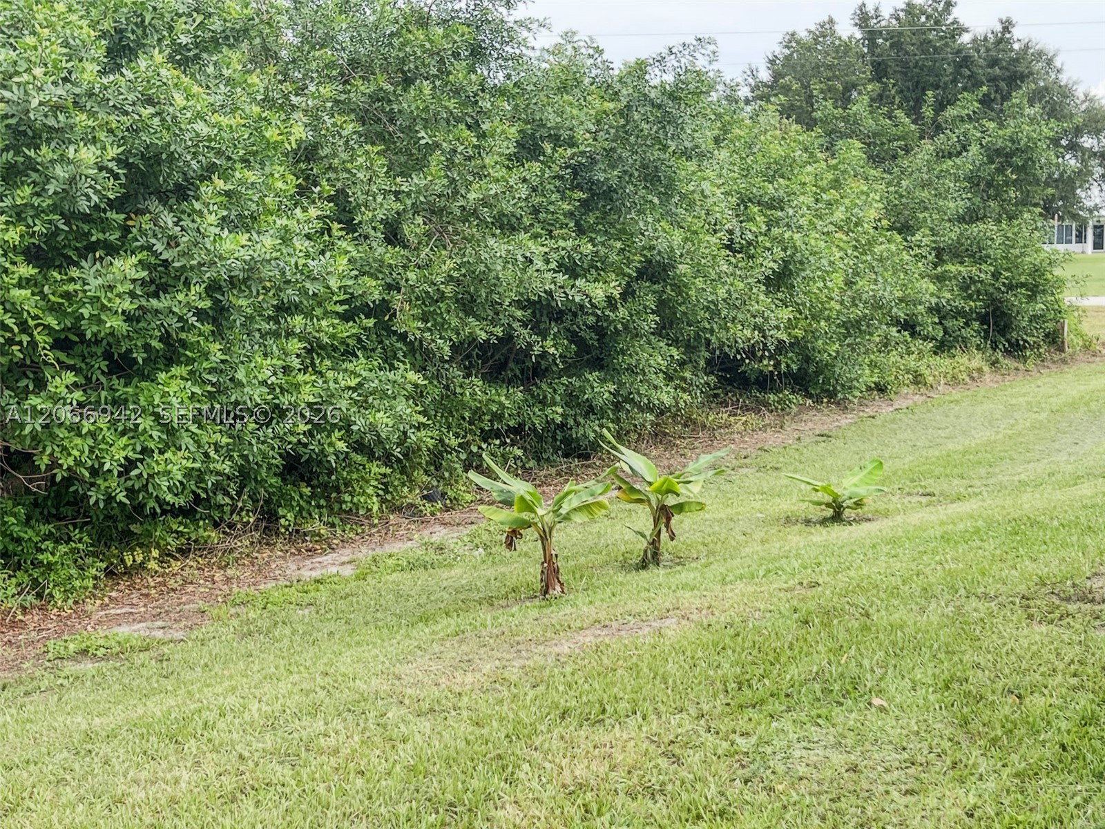 main property photo 50
